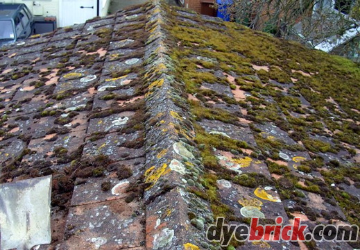 Roof Before
